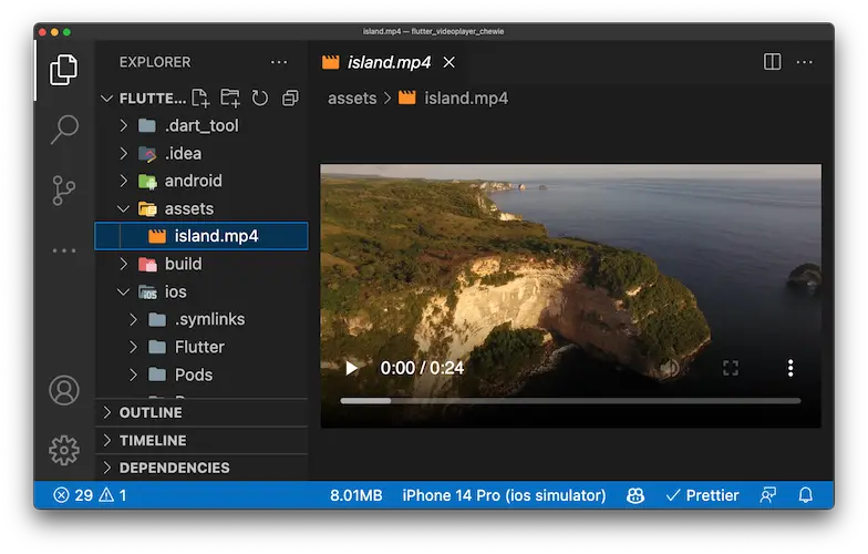 Flutter Video Player With Controls, Video Player Fullscreen, Flutter Chewie  Video Player