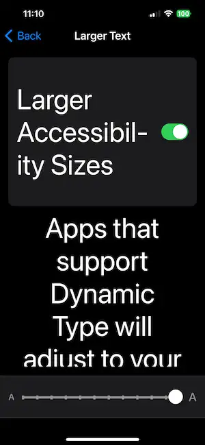 Dynamic Text iOS settings